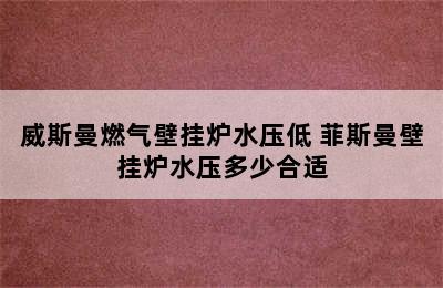 威斯曼燃气壁挂炉水压低 菲斯曼壁挂炉水压多少合适